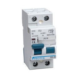 63A 2 Pole 2 Module 100mA Trip RCD T63-100-2